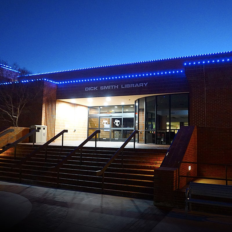 commercial outdoor lighting